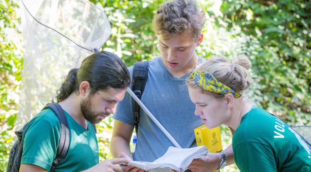 Projects Abroad volunteers look up butterfly species during Conservation volunteering in Costa Rica. Volunteers conduct a butterfly survey as part of their Conservation volunteer work in Costa Rica.